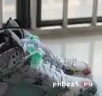 Low Neymar Air 5 Jordan Authentic 0510